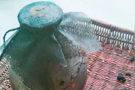为家省的不止一万块！教你“疗愈白发果酒”——补肺又补肾视频封面