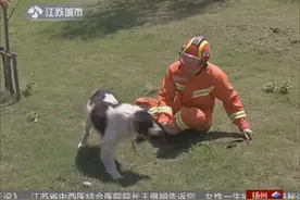 难忘十年 情牵汶川 我和我的搜救犬——冰洁视频封面