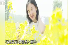 北京：人间四月芳菲尽 千亩油菜花田如仙境视频封面