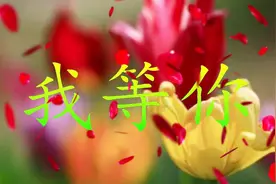 亲爱的，为你点了一首祁隆的情歌，一直等着你，想着你，爱着你！视频封面