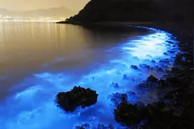 日本出现蓝色海浪，夜晚自动发光，十分迷人视频封面