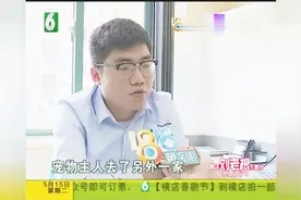 破腹产出四只小狗，隔天又在别家产出第五只，双方要验DNA证明视频封面