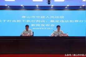 「决胜基本解决执行难」唐山法院——严惩拒执判决违法犯罪战果显著图片