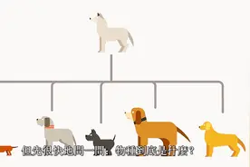 创业者有必要了解的生物进化原理 搞懂了就能提升自身竞争力