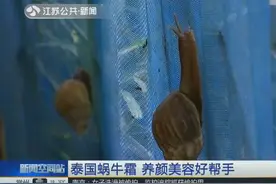 泰国蜗牛霜 养颜美容好帮手视频封面