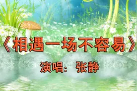 我会把我所有的情和意，毫无保留的全给你《相爱一场不容易》视频封面