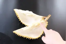 榴莲皮是个宝，吃完榴莲别再扔了，它的作用特别多很多人都不知道视频封面