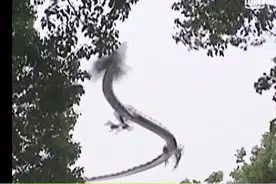 风云2：帝释天七武屠龙，想不到神龙真的出现了，差点杀光海族视频封面