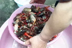 农村女孩去邻居家吃饭，看到阿姨端了一满盆这个，心想又有口福了视频封面