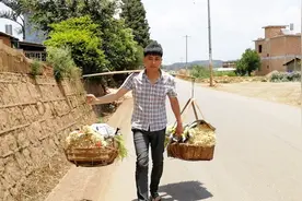 农村小伙挑着担子走在路上，却在58秒时发生了意外视频封面