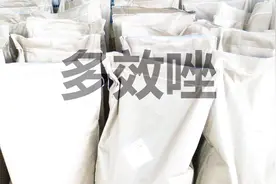 用多效唑怕出药害？不用怕！用在这俩作物上，效果杠杠滴！