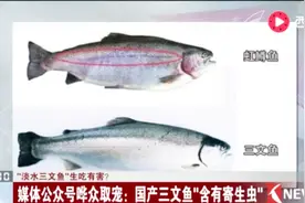 “淡水三文鱼”能不能生吃？专家给出回应视频封面