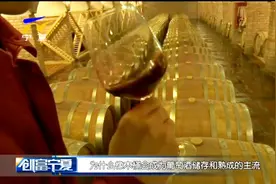 为什么橡木桶会成为葡萄酒储存和熟成的主流？视频封面