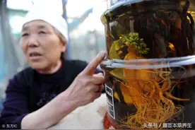 中医常用泡酒方，建议收藏图片