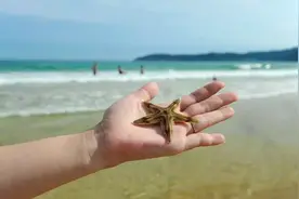 赶海去喽！海鲜靓，海景美，这些地方满足你对丰收的期待！图片