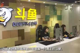 原来你是这样的斗鱼，穿着二次元服装上班，抬头低头都是美女视频封面