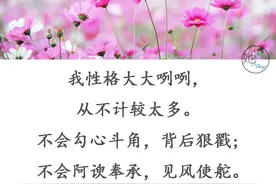 献给心直口快，心眼不坏，心地善良的人（句句入心）图片