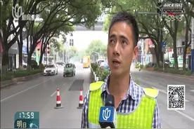 “采花贼”深夜出动 偷路边花卉也犯法！偷花一株拘三天视频封面