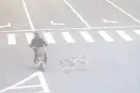 哈士奇将骑车大爷撞骨折后“肇事逃逸”，它的主人赔了3万多图片