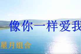 最好听的情歌《像你一样爱我》一生相伴不离不弃好听极了！视频封面