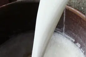 河南特别美食浆面条的酸浆从何而来？大妈一番话解开我多年疑惑视频封面
