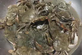 农人川子：夜晚赶海是抓螃蟹的最佳时间？小伙一把抓了三只太过瘾视频封面