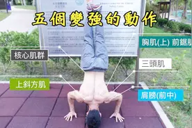 全身肌肉几乎会练到的五个动作，让你的力量训练提升一个层次视频封面