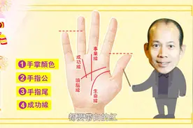 苏民峰：什么手相的人容易创业成功？有一条手纹很关键！视频封面