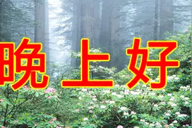 朋友晚上好！问候送给你，愿您天天都快乐！晚安！做个好梦！视频封面