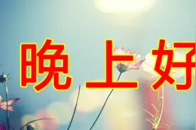 晚上好问候，愿你忘记烦恼和劳累，开心度过一个美好的夜晚！视频封面