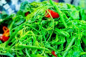 粗纤维蔬菜助力高考，炎炎夏日，大厨教你一道解暑凉菜，鲜香爽口视频封面