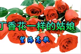 新歌！一曲《丁香花一样的姑娘》爱恋情歌，太美了！视频封面