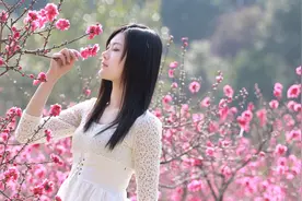 一首《桃花开》，花儿香，花儿美，姑娘惹人爱视频封面