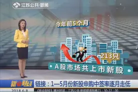 股市走势链接：1—5月份新股申购中签率逐月走低视频封面