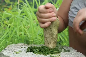 脚上起泡脱皮，痒起来老是用手抠，脚气脚痒怎么办？试试这种草药视频封面