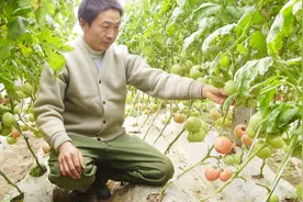 生根剂到底该怎么用？是时候知道了！原来这些现象是生根剂导致的视频封面