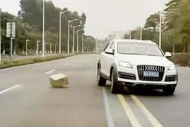 开车时突遇障碍物怎么打方向盘？让老司机来告诉你，这样做更安全视频封面
