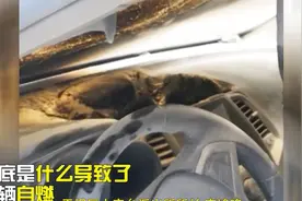 汽车突然自燃 竟是此物惹的祸视频封面