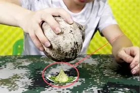 试玩粉丝推荐的实验“口香糖砸椰子”，那么硬的椰子能被砸开？视频封面