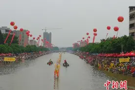 2018年广东省传统龙舟公开赛在肇庆市金利镇举行图片