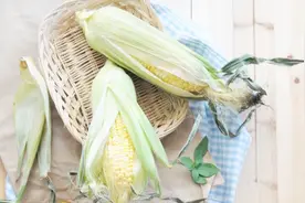世界杯看球没零食怎么行？自制玉米片，家庭健康小零食来啦视频封面