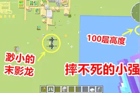 我的世界：附魔10000级摔落保护，是不是就不会摔死了？