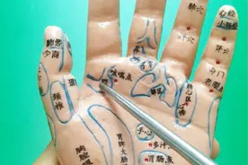 穴位养生堂《手部胃的反射区》每天按压可缓解胃病视频封面
