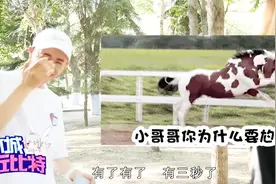 街头配对酒味撩妹，小狼狗型帅哥也有温柔的一面，漫画少女1米8？视频封面