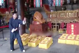 河北形意拳名家刘国勤演练的形意十二形之虎形视频封面