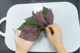 紫苏加生姜泡水喝，喝一次能为家里省几十块，越早知道越好视频封面