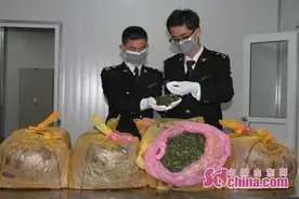 青岛海关查获新型毒品恰特草50余千克图片