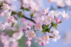 哲思｜与人为善图片
