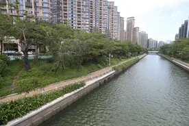 深圳百米路段景观工程耗资千万 代表委员怒斥城管局长视频封面