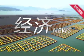 上交所进一步明确科创板企业上市申报规定图片
